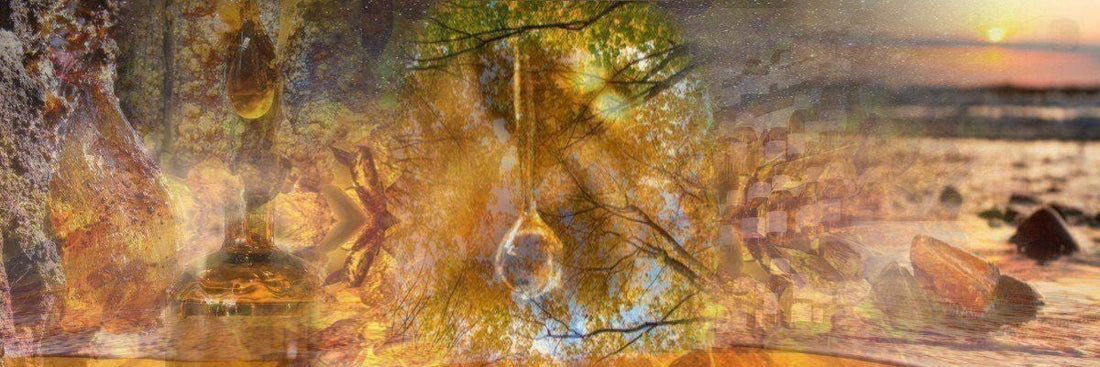 Amber: The Warm Heart of Arabic Fragrance