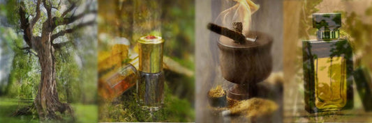 The Aromatic World of Arabian Perfumes, Incense, and Attar Oils