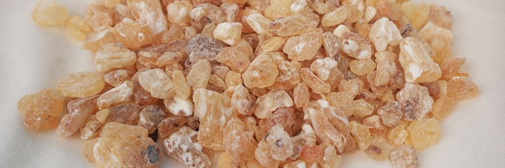 Frankincense: A Complete Guide to Luban Bakhoor