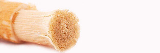 Miswak: The Natural Toothbrush With 1,400 Years of Use