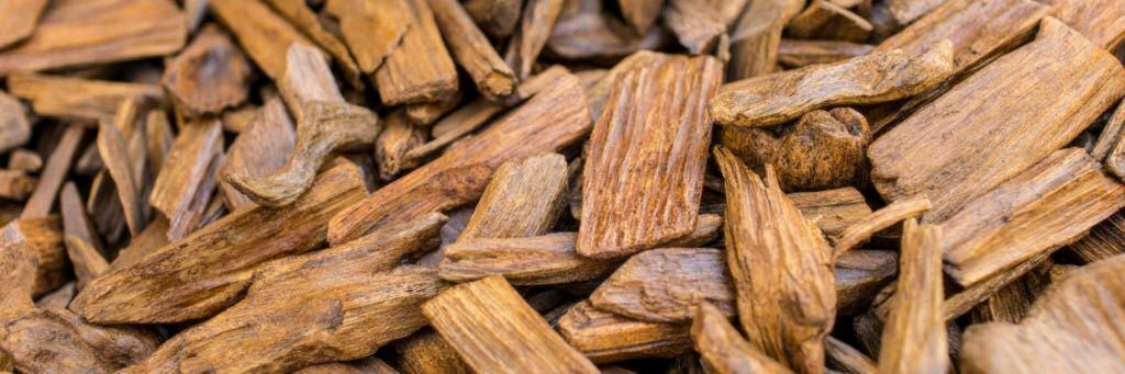 What Is Oud and What Makes It Special?