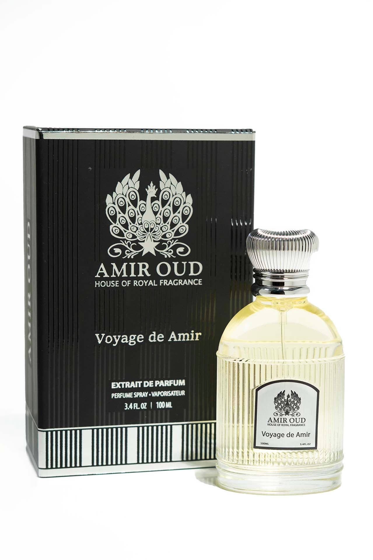 Voyage de Amir