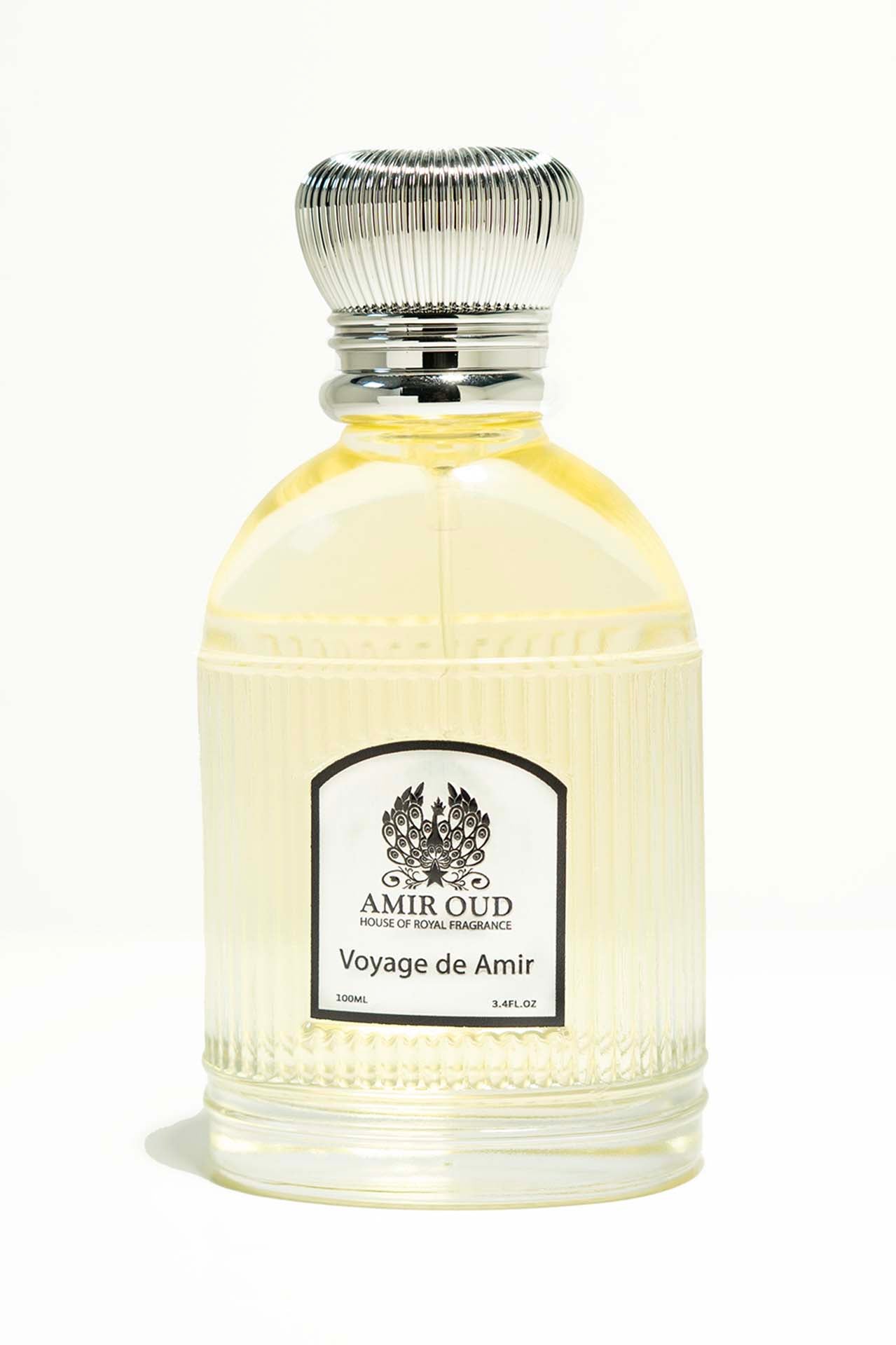 Voyage de Amir