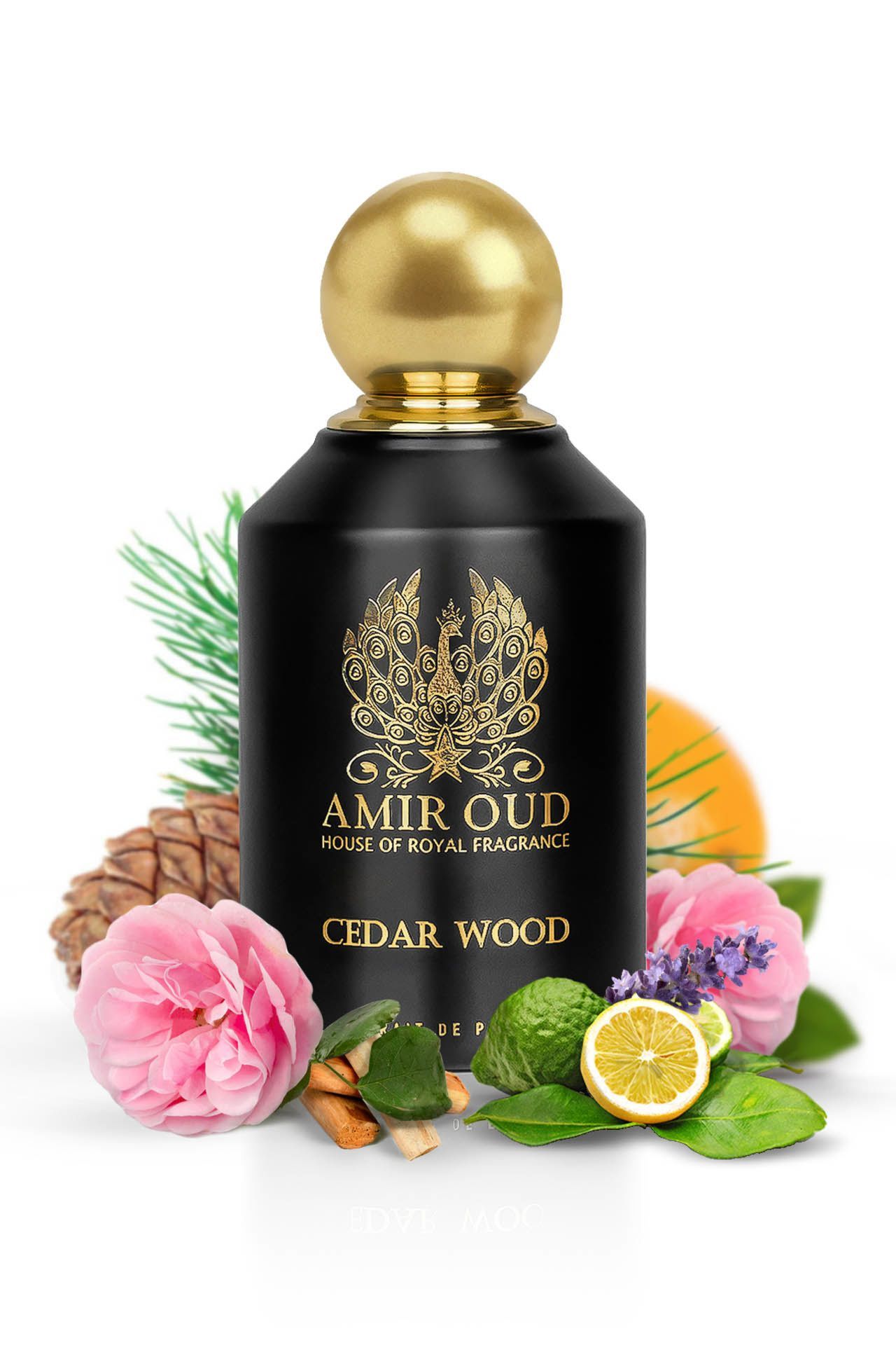 Cedar Wood Perfume